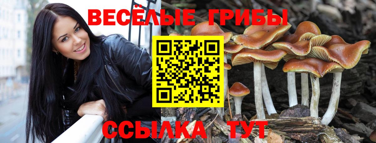 Галлюциногенные грибы Magic Shrooms  Галлюциногенные грибы мухоморы  Кореновск  Вход с VPN 